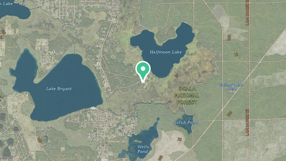 Map of Lake in the Forest RV Resort