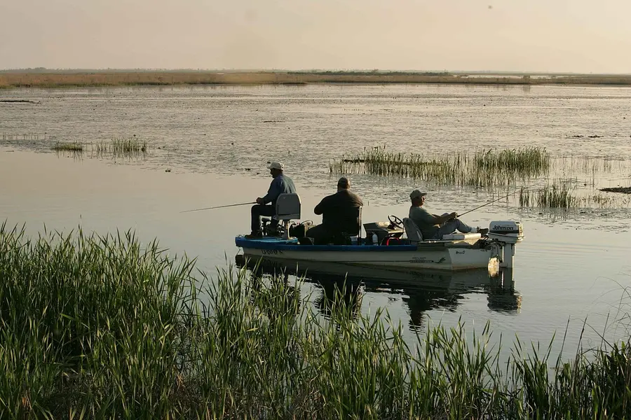 Small Fishing Boat