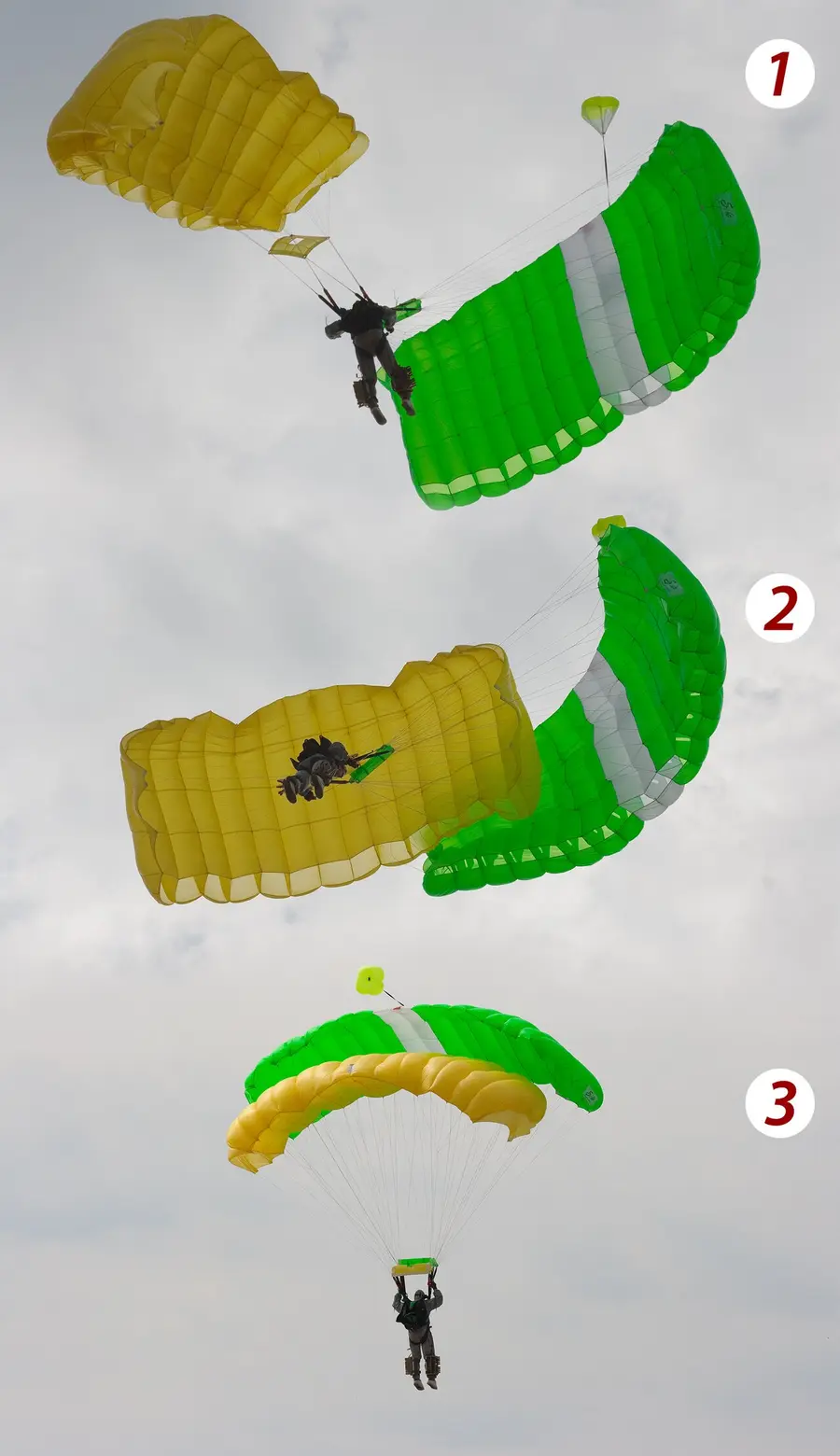 9-cell Sport Canopy