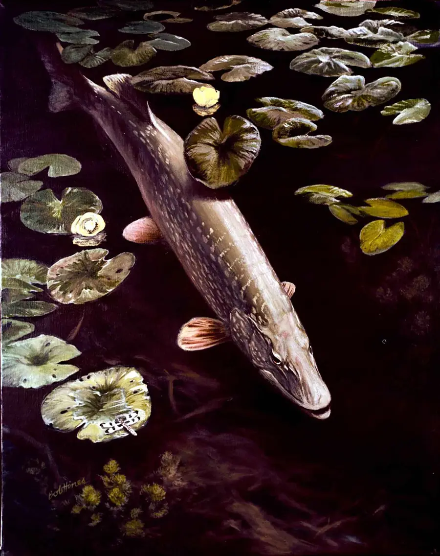 Northern Pike