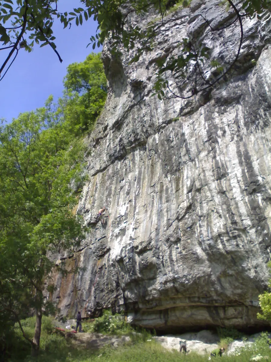 Limestone