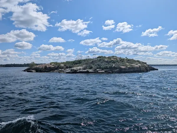 1000 Islands Cruises - Brockville, photo 1