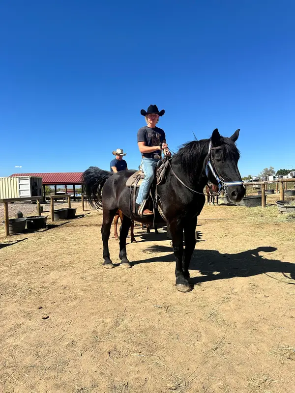 12 Mile Stables