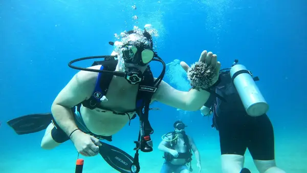 413 Divers