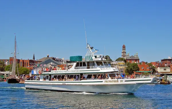 7 Seas Whale Watch, Gloucester, MA