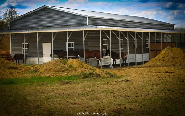 A Broken Spur Riding Academy