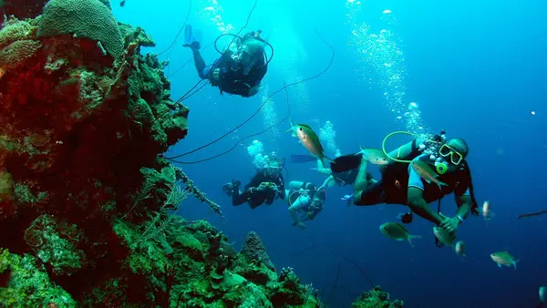A Diver's World