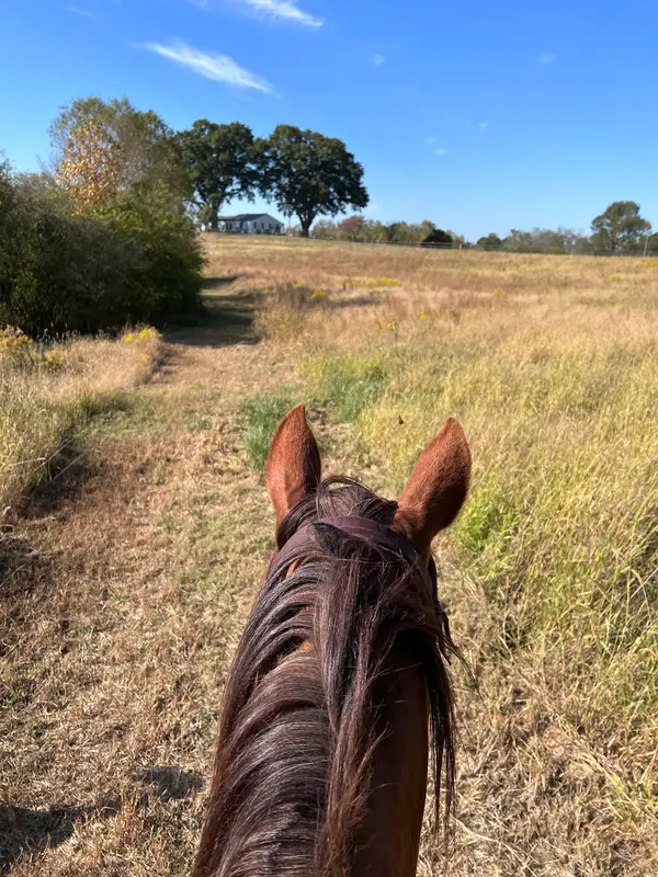 A Leap of Faith Equestrian Center, LLC