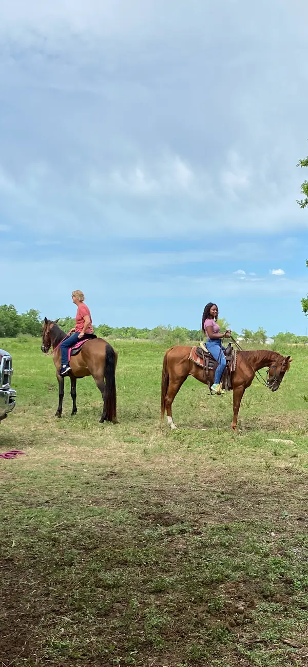 A Place for Dreamers Horseback Ride & Trail Ride, photo 4