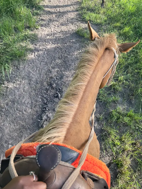 A Place for Dreamers Horseback Ride & Trail Ride, photo 3