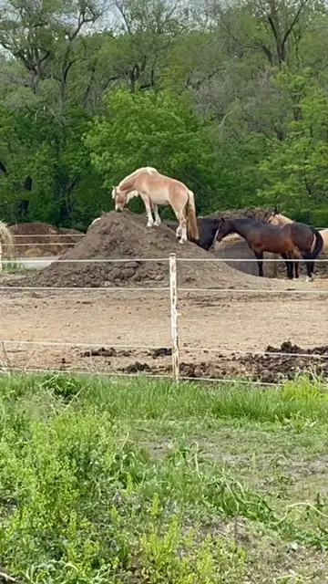 A Wilderness Stable, Lincoln, NE