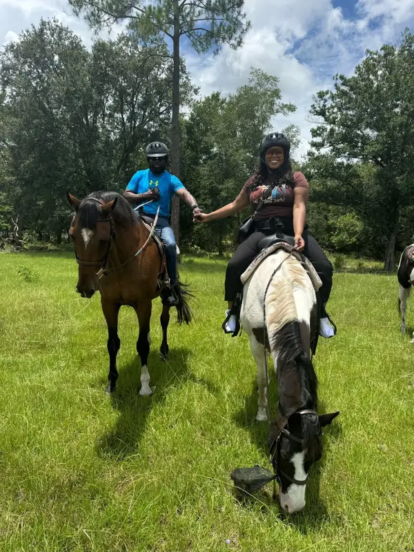 AAA Equestrian
