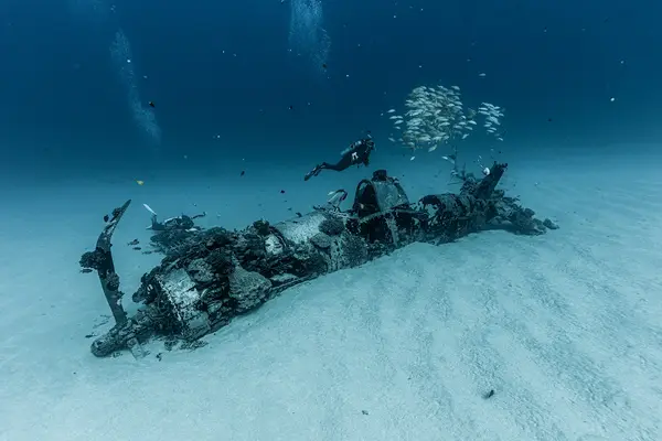 Aaron's Dive Shop