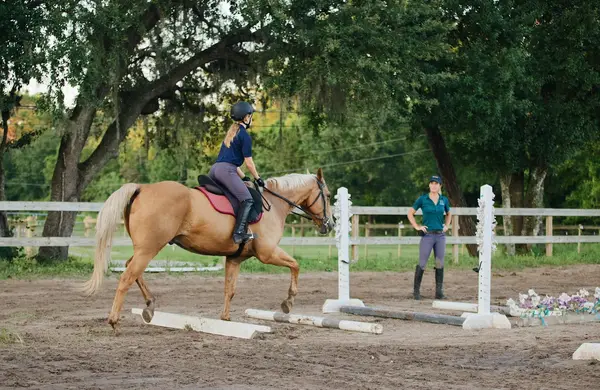 Above and Beyond Equestrian
