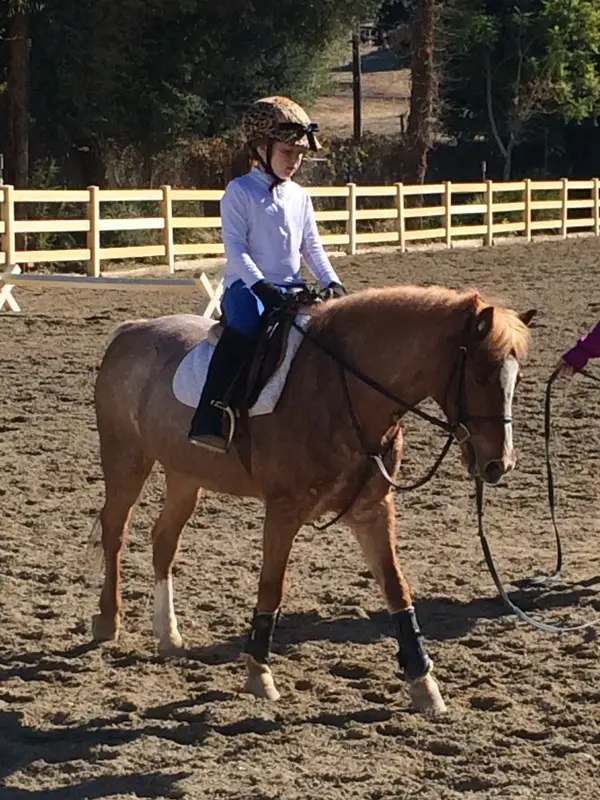 Acres West Equestrian Center, photo 2