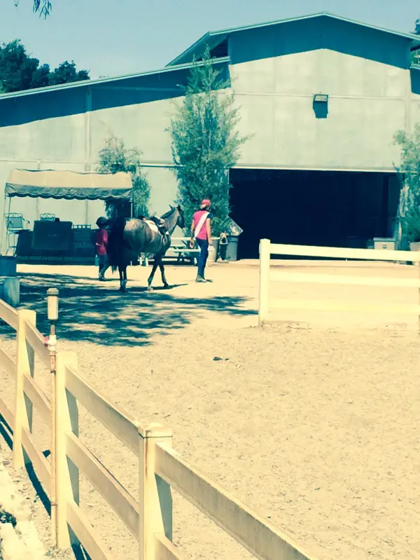 Acres West Equestrian Center, photo 3