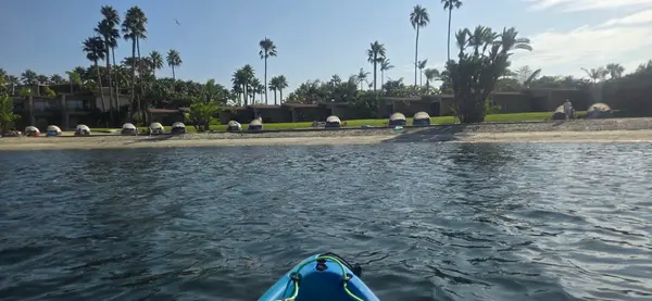 Action Sport Rentals, photo 1
