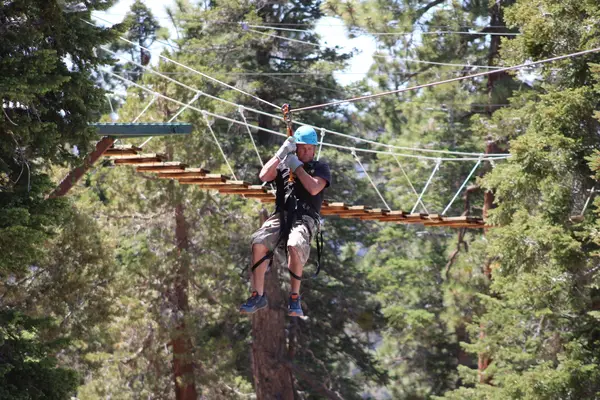 Action Zipline Tours, photo 1