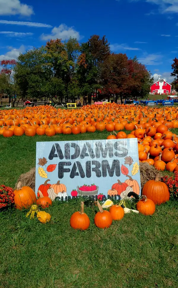 Adam's Farm, Cumberland, RI