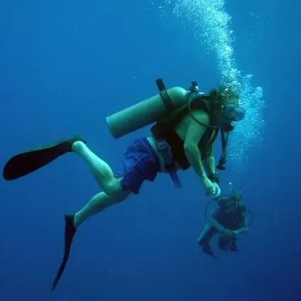 Advanced Aquatics Diving Inc