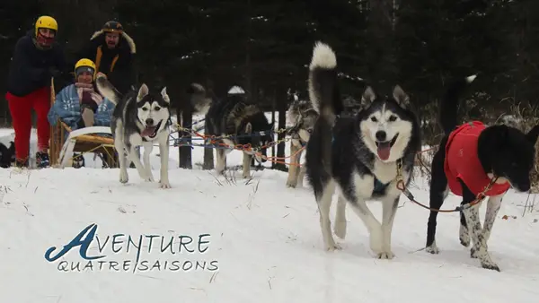 Adventure Four Seasons
