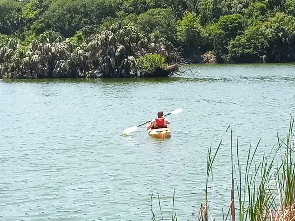 Adventure Kayak Florida, photo 2