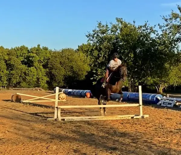 Adventures in Riding with Miss Julie, photo 2