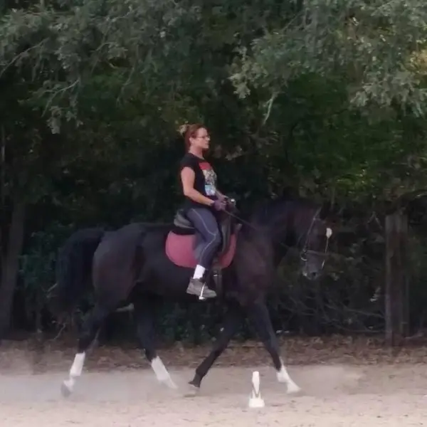 Adventures in Riding with Miss Julie, photo 3