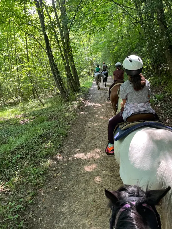 Adventures of Shadow Lane, Blue Ridge, GA