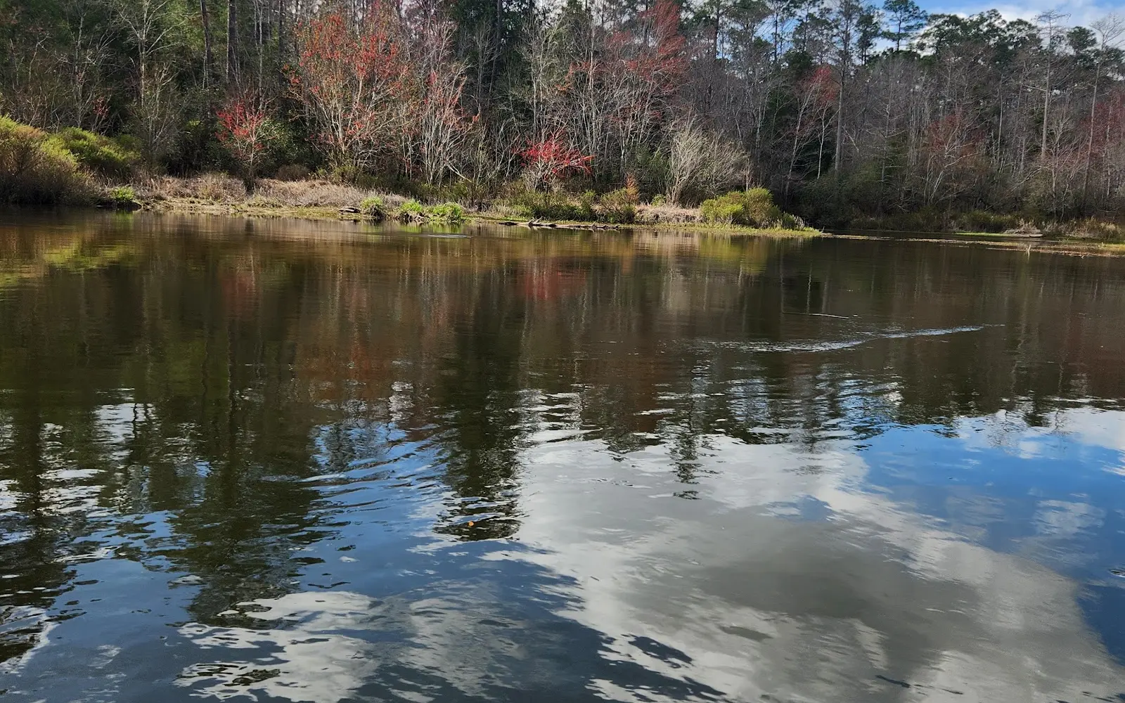 Adventures Perdido River