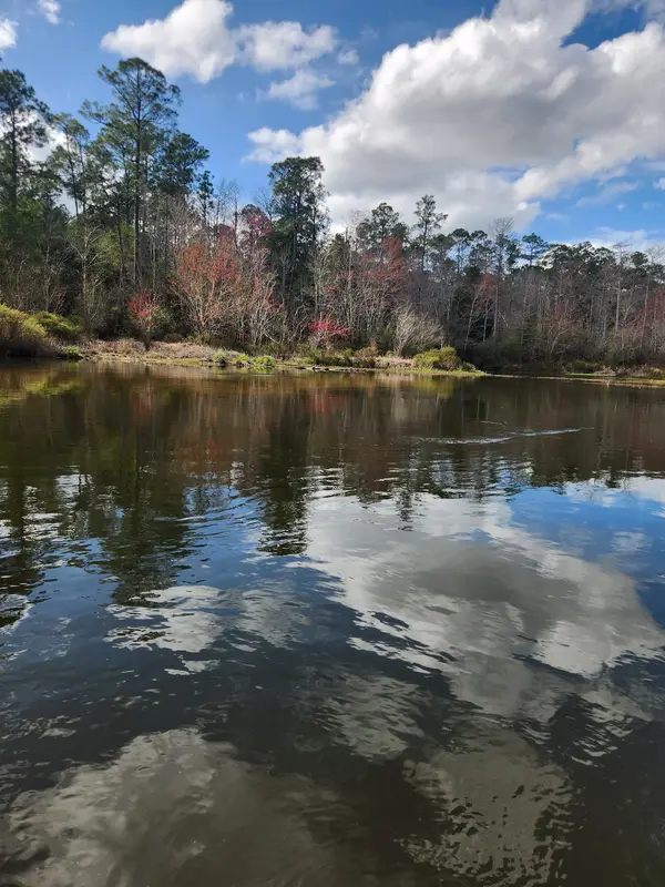 Adventures Perdido River, photo 4