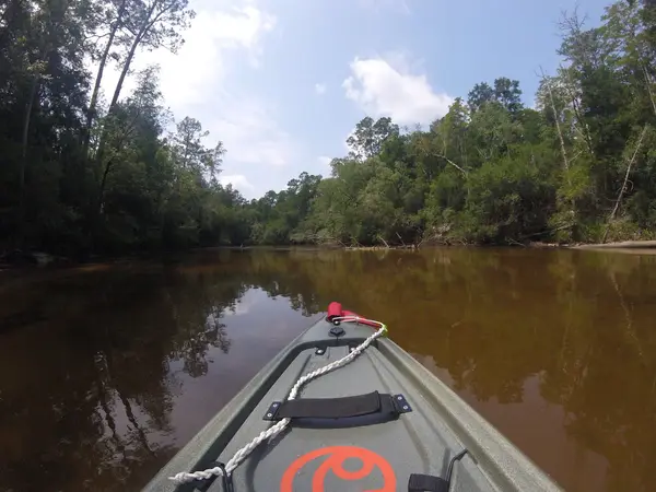 Adventures Perdido River, photo 3