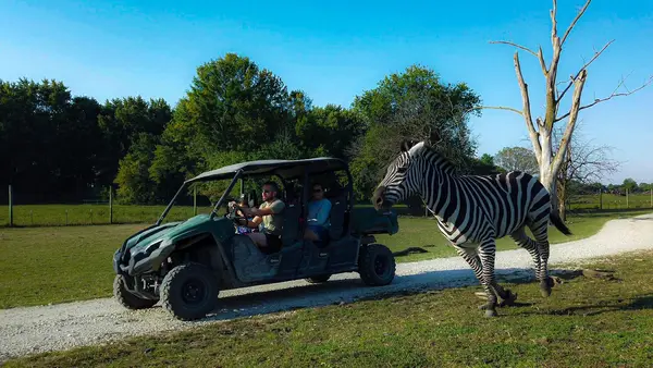 Aikman Wildlife Adventure, Arcola, IL