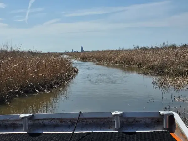 Airboat Adventures, Spanish Fort, AL
