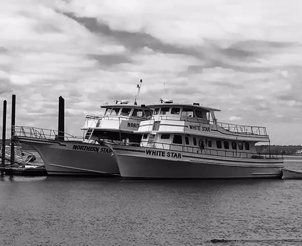 Al Gauron Deep Sea Fishing and Whale Watching, Hampton, NH