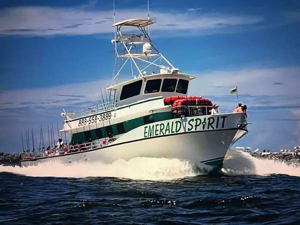 Alabama Deep Sea Fishing, Orange Beach, AL