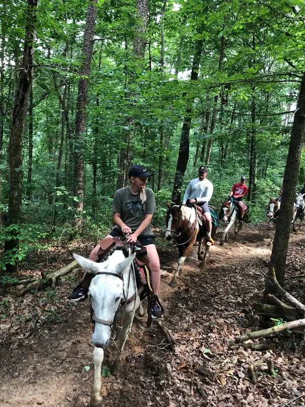 Alabama Horseback Adventures