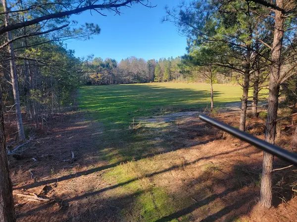 Alabama River Lodge