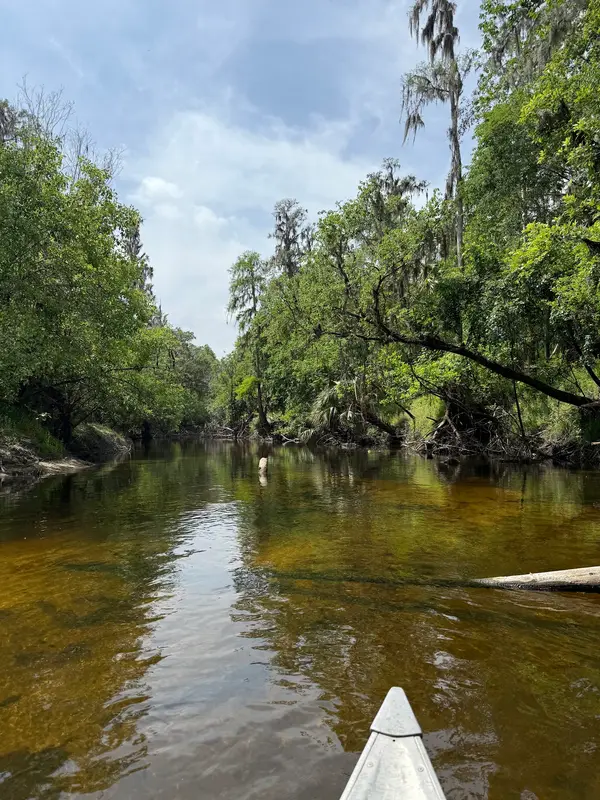 Alafia River Kayak and Canoe Rentals, photo 2