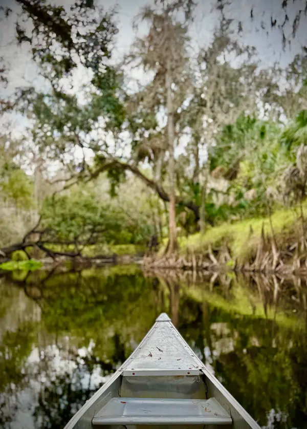 Alafia River Kayak and Canoe Rentals, photo 3