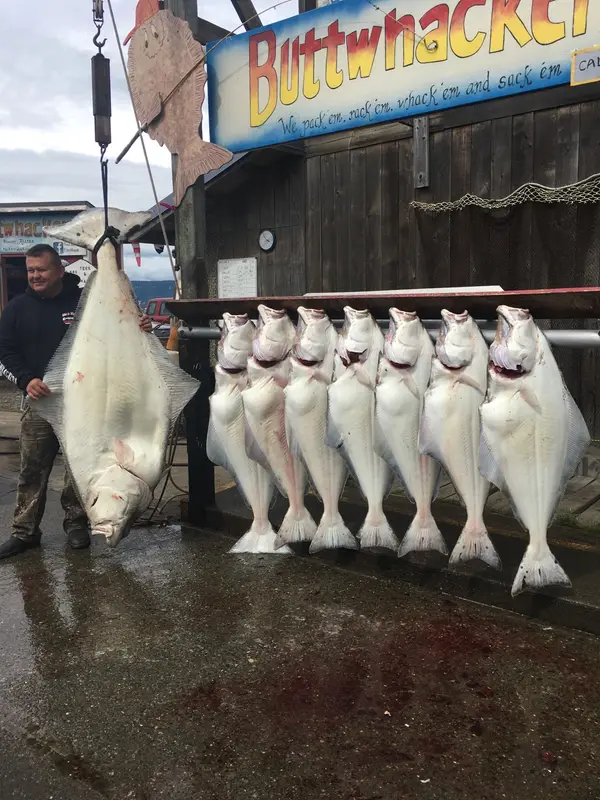 Alaska Fish on Charters, Kenai, AK