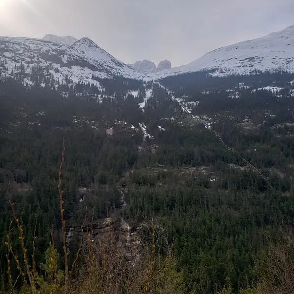 Alaska Mountain Guides Adventure Park and Zip Line