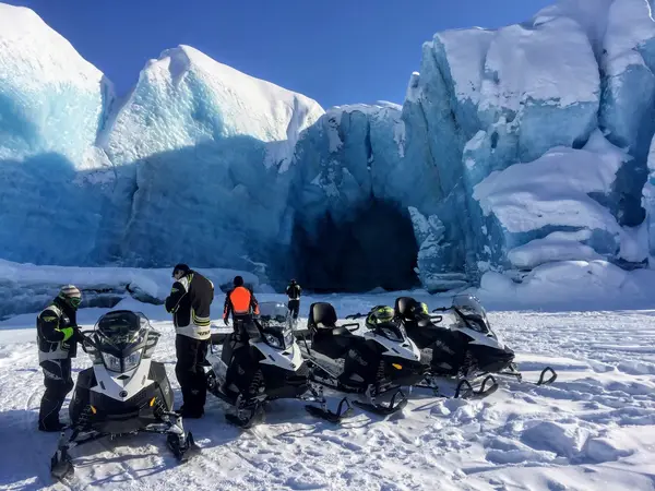 Alaska Wild Guides