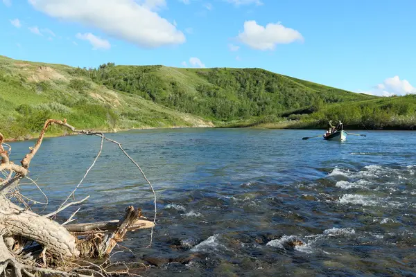 Alberta Fly Fishing Adventures, photo 1