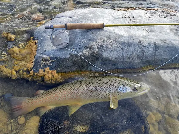 Alberta Fly Fishing Adventures, photo 2