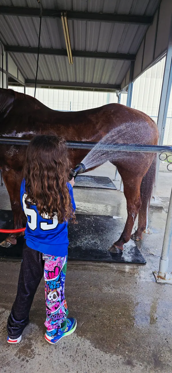 Aldine Westfield Stables, photo 1