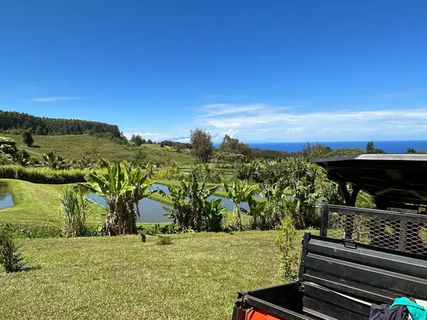 All About the View ATV UTV Scenic Tour