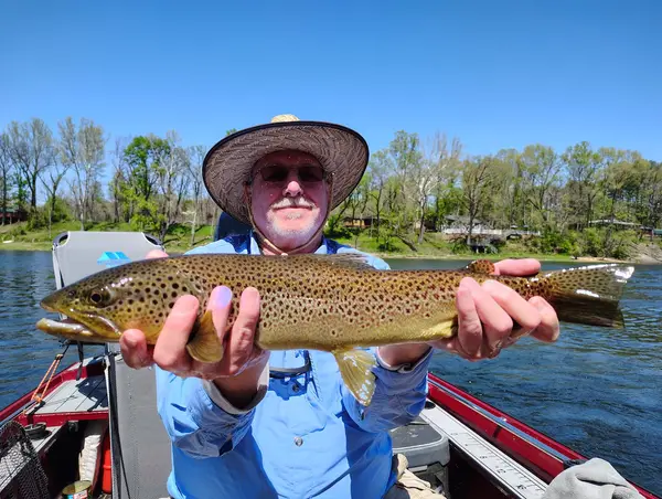 All About Trout LLC, Bull Shoals, AR