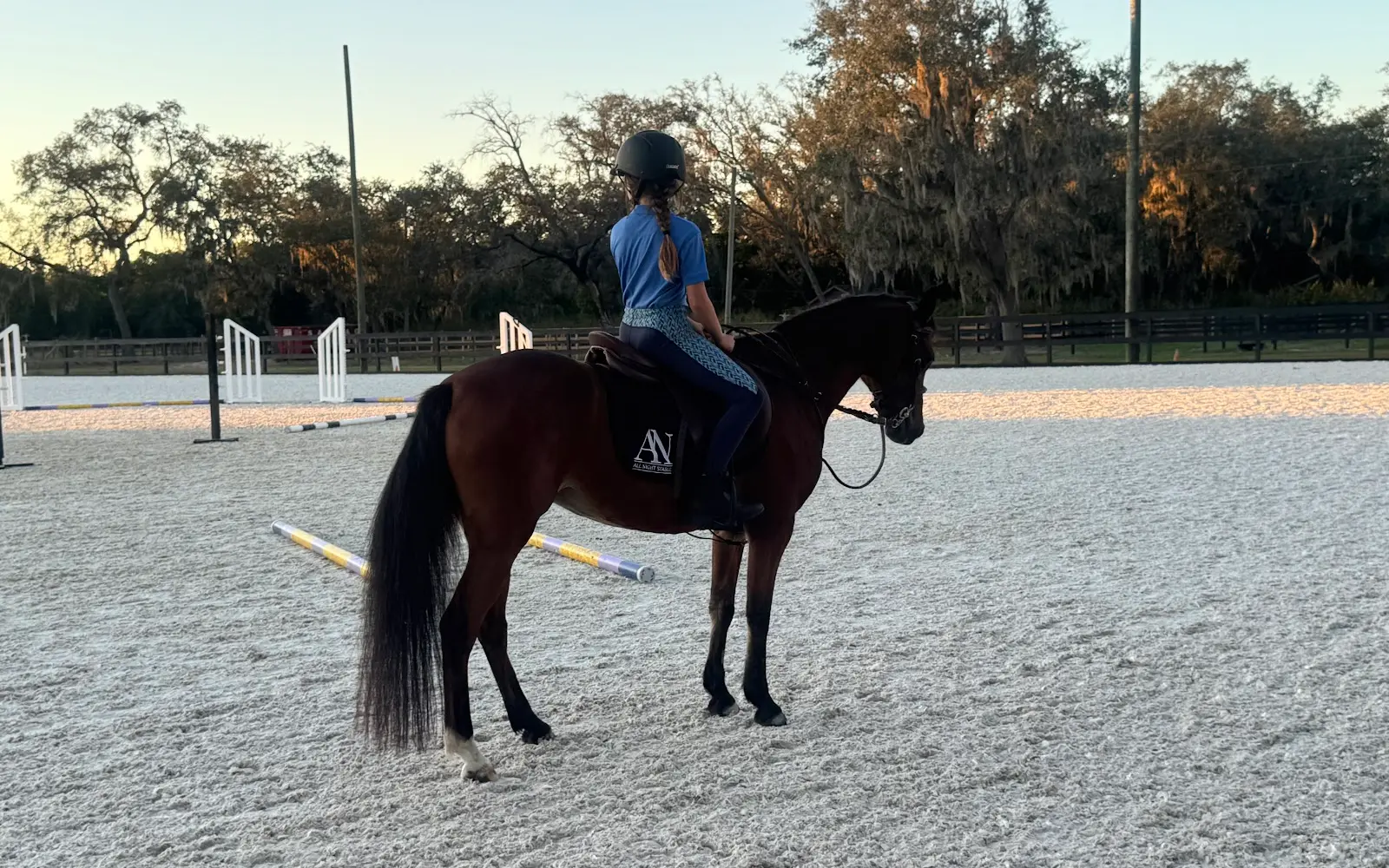 All Night Stable
