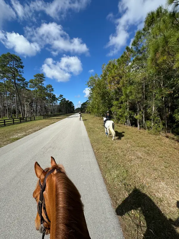 Alma Equestrian Stables, photo 2